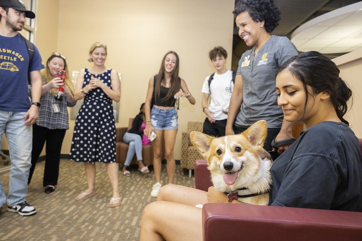 Stress Less with Therapy Pets